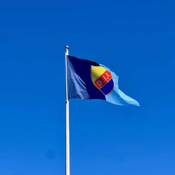 FLAGGSTÅNGSFLAGGA 300X180 CM LJUSBLÅ/BLÅ SKÖLD