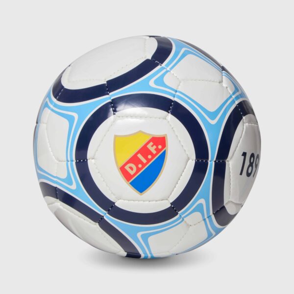 LITEN FOTBOLL DJURGÅRDEN
